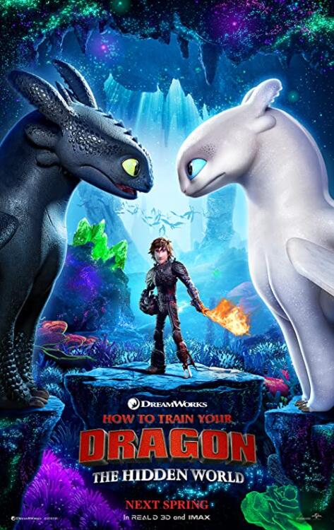 دانلود انیمیشن How to Train Your Dragon The Hidden World 2019 با زیرنویس فارسی چسبیده