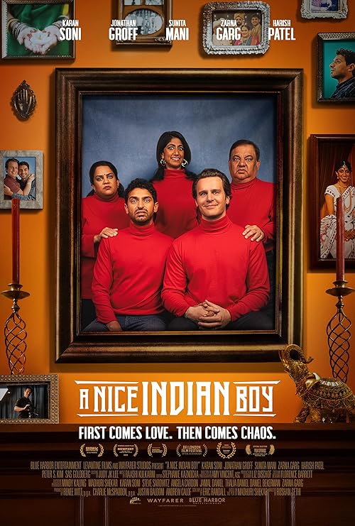 دانلود فیلم A Nice Indian Boy 2024 با زیرنویس فارسی چسبیده