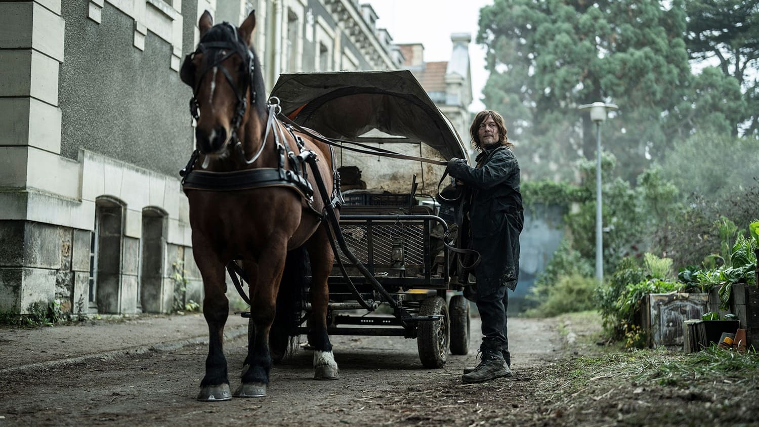 اولین تریلر رسمی از فصل سوم سریال The Walking Dead: Daryl Dixon منتشر شد