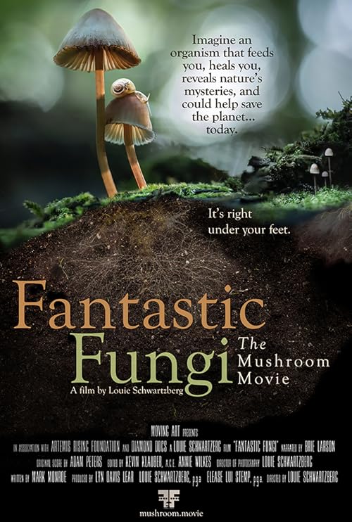 دانلود فیلم Fantastic Fungi 2019 با زیرنویس فارسی چسبیده