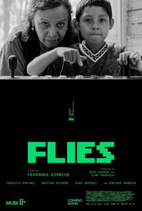 دانلود فیلم Flies 2026 با زیرنویس فارسی چسبیده