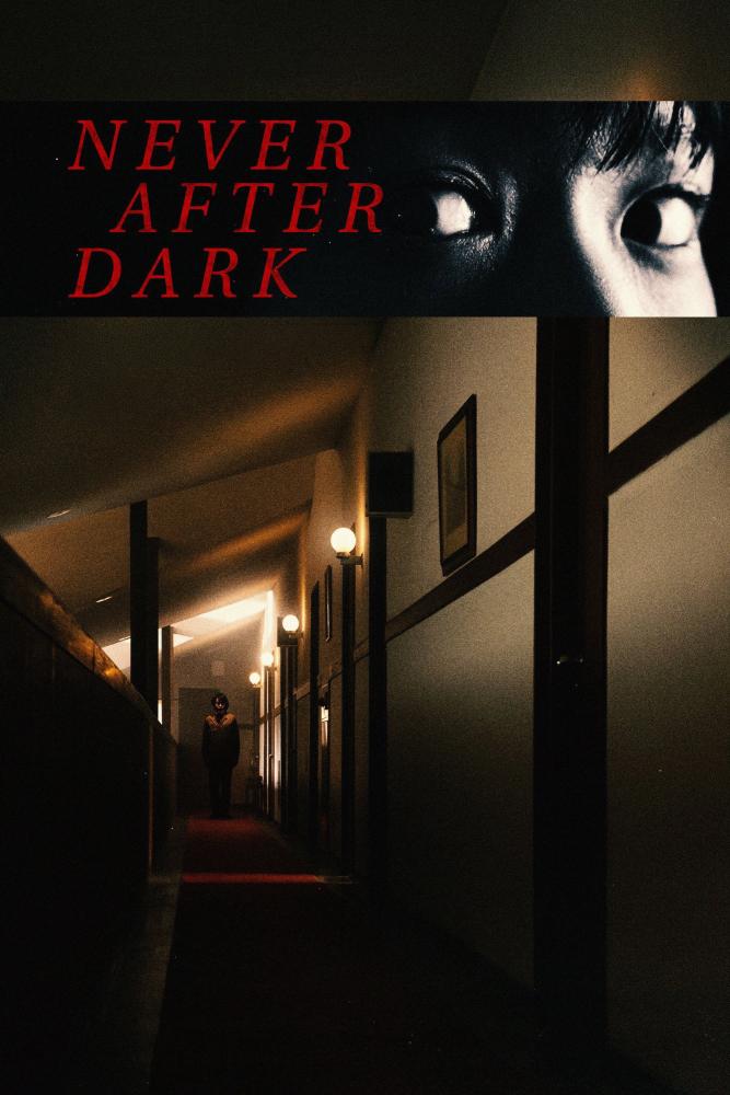 دانلود فیلم Never After Dark 2026 با زیرنویس فارسی چسبیده
